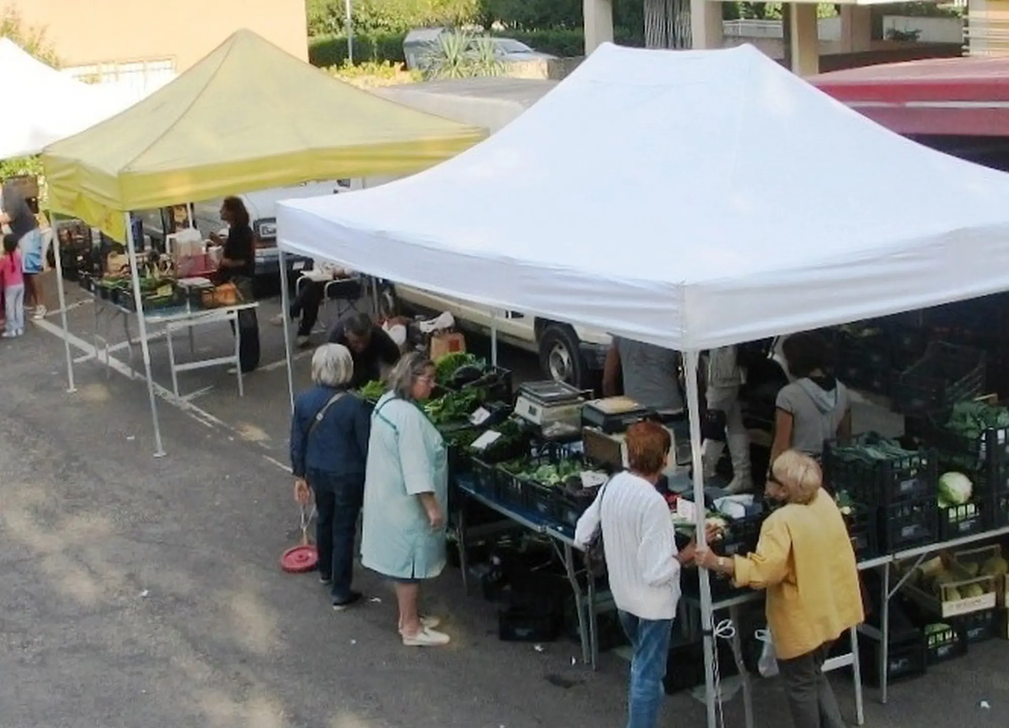 Farmer's Market Bertella