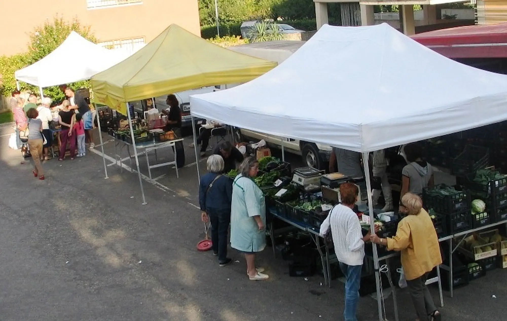 Farmer's Market Bertella