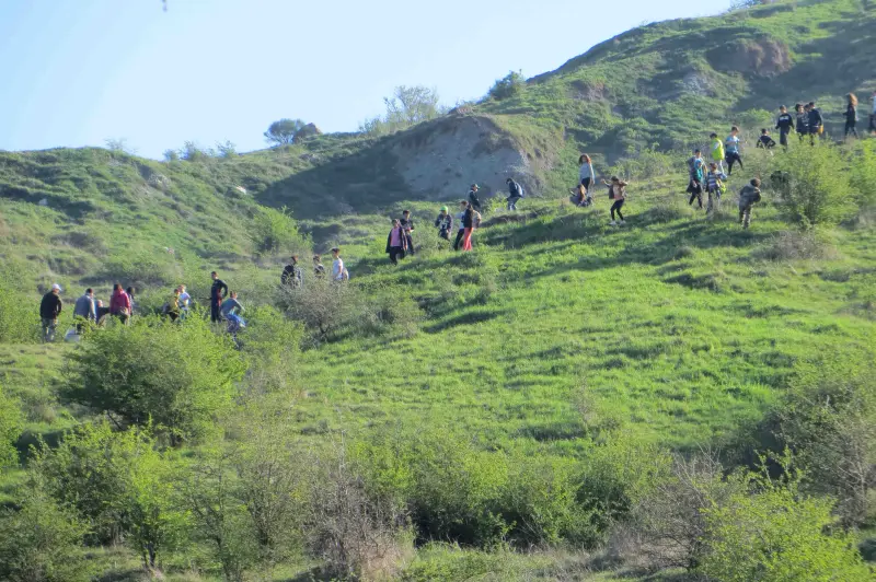 Salviamo la montagna: piantumazione