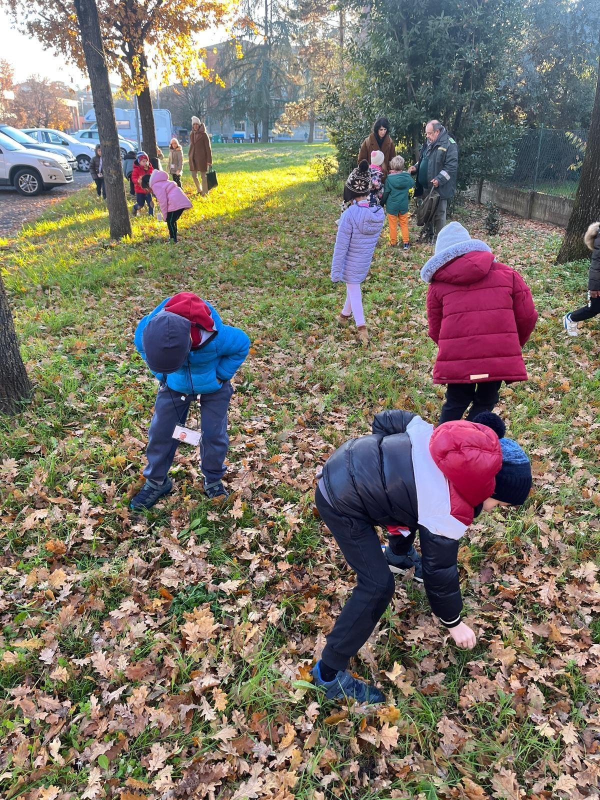 Giornata dell'Albero 2024 - laboratorio Una ghianda fa il bosco