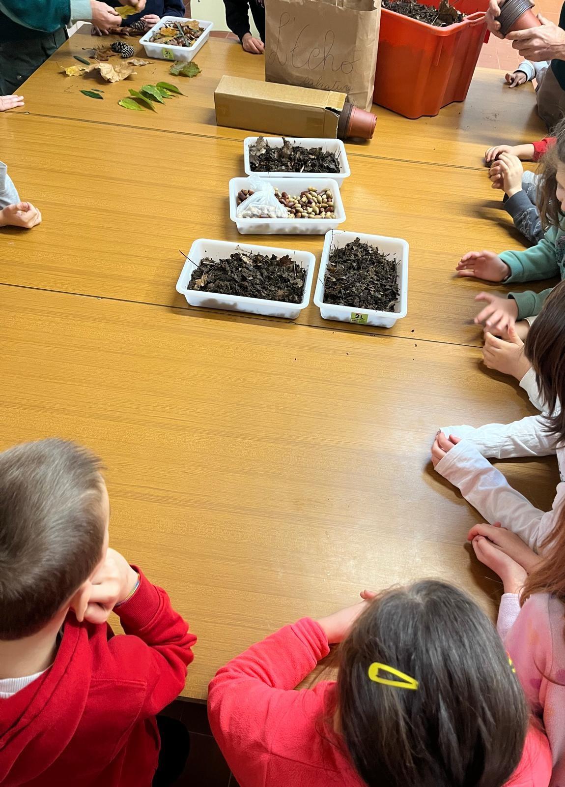 Giornata dell'Albero 2024 - laboratorio Una ghianda fa il bosco