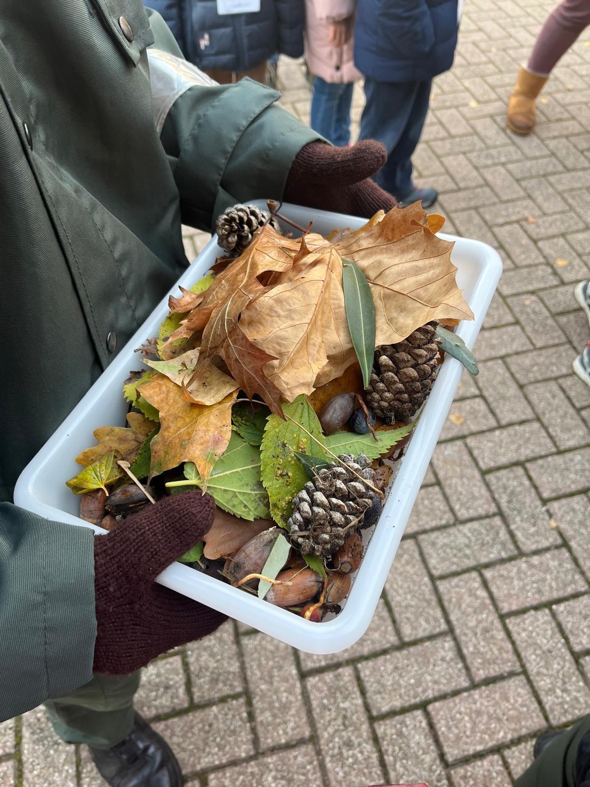 Giornata dell'Albero 2024 - laboratorio Una ghianda fa il bosco