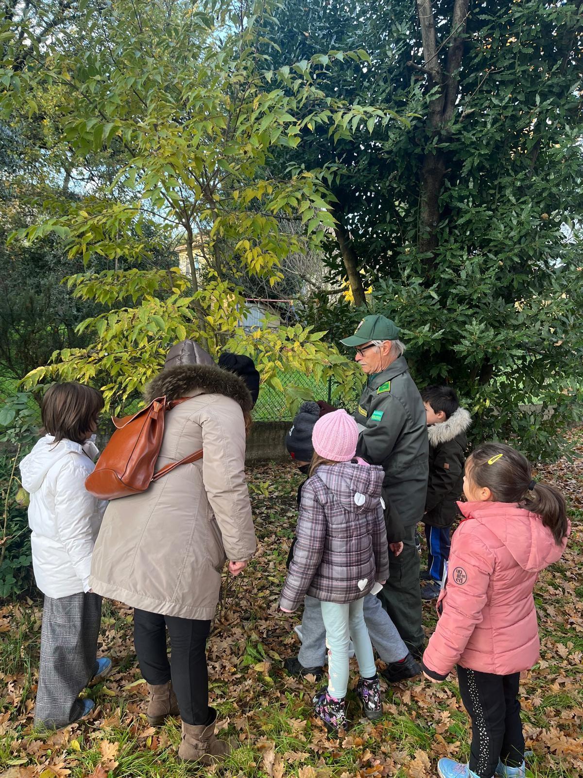 Giornata dell'Albero 2024 - laboratorio Una ghianda fa il bosco