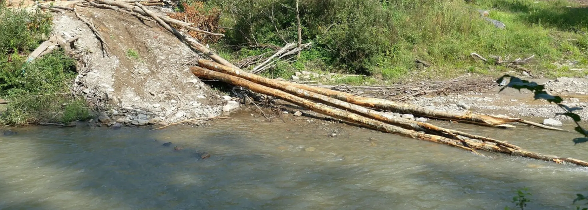 Raccolta legname caduto nell'alveo dei corsi d'acqua del bacino dei fiumi Sillaro, Santerno e Reno