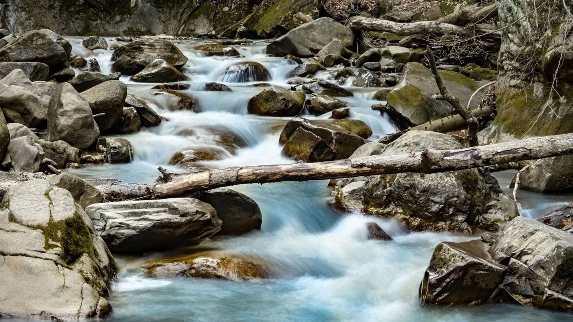 Raccolta del legname caduto nell'alveo dei corsi d'acqua del bacino dei fiumi 